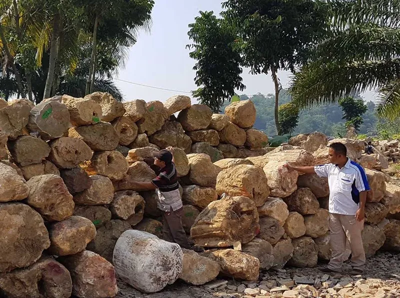 Raw materials