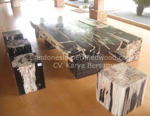 Petrified Wood Rectangle Table