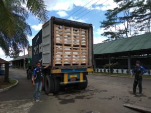 Stuffing and Shipping 5