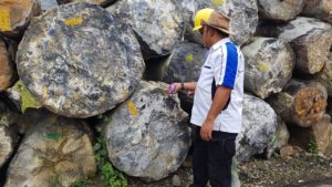 The Selection Of Raw Materials
