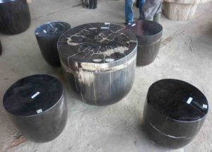 Petrified Wood Coffee Table