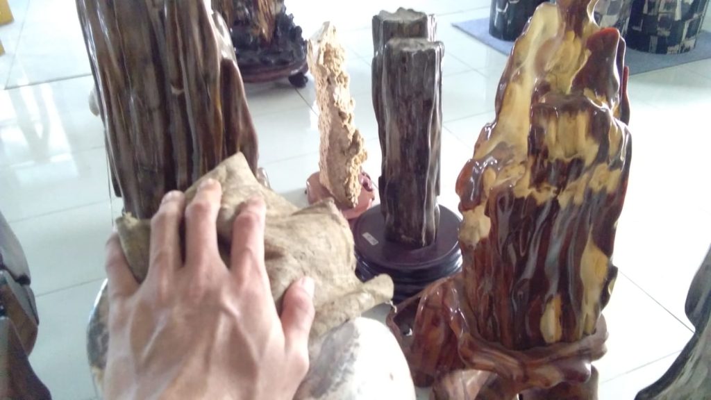 3 Simple Method To Clean Petrified Wood Furniture