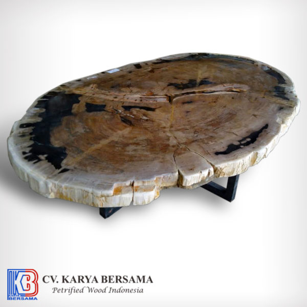 Petrified Wood Round Coffee Table
