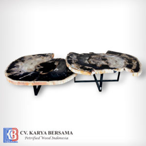 Rivella Petrified Wood Coffee Table