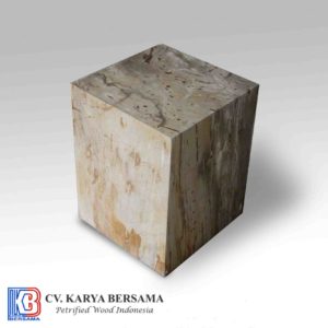 Petrified Wood Square Solid Side Table