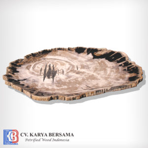 Tigress Petrified Wood Plate