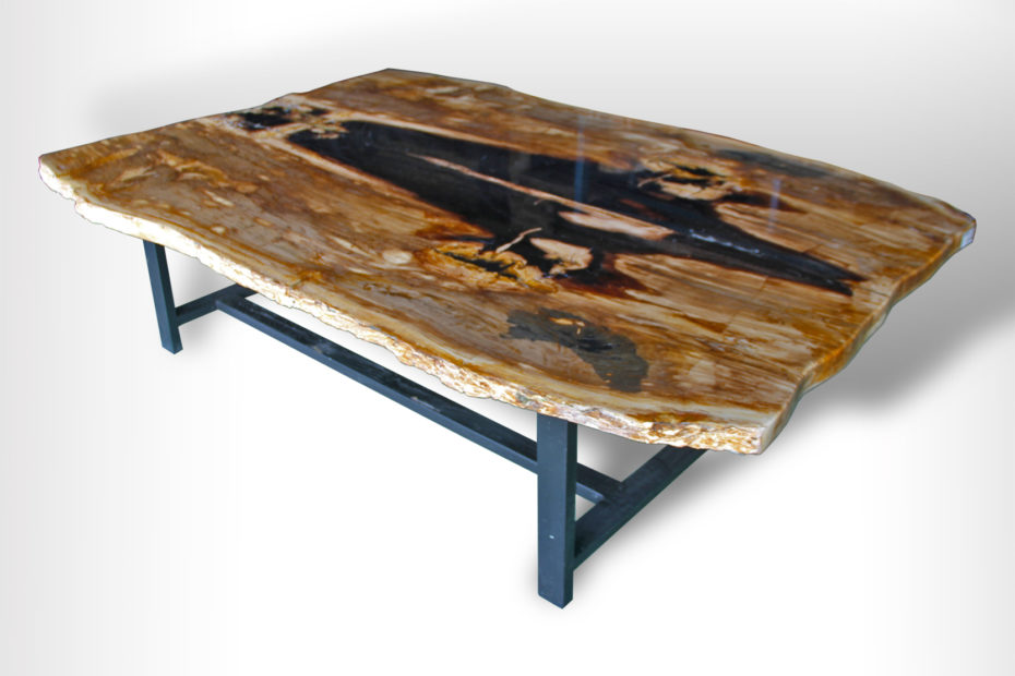 Petrified Wood Butterfly Dining Table