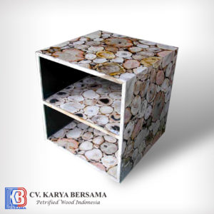 Petrified Wood Mosaic Cabinet