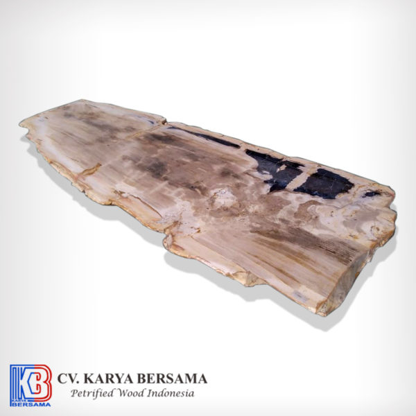Petrified Wood Rectangle Dining Table