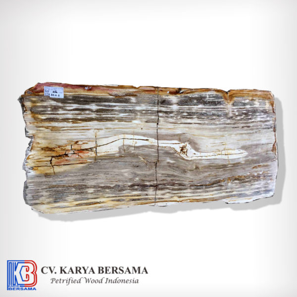 Petrified Wood Karo Rectangle Coffee Table