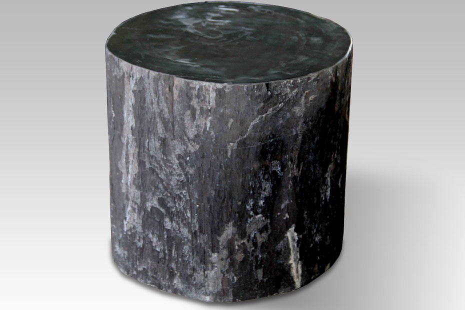 Petrified Wood Round Solid Side Table