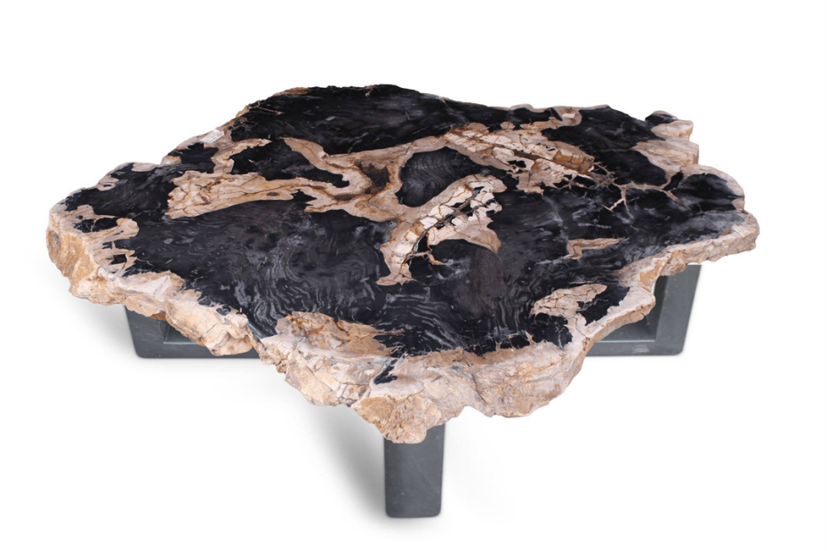 Exploring the Elegance of Petrified Wood Coffee Tables in 2024 1