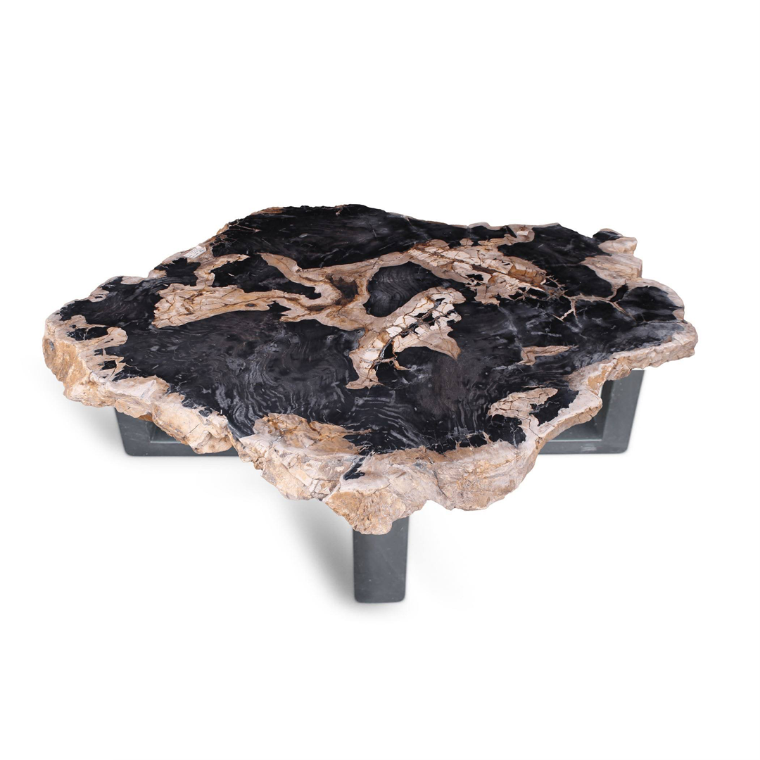 Exploring the Elegance of Petrified Wood Coffee Tables in 2024 1