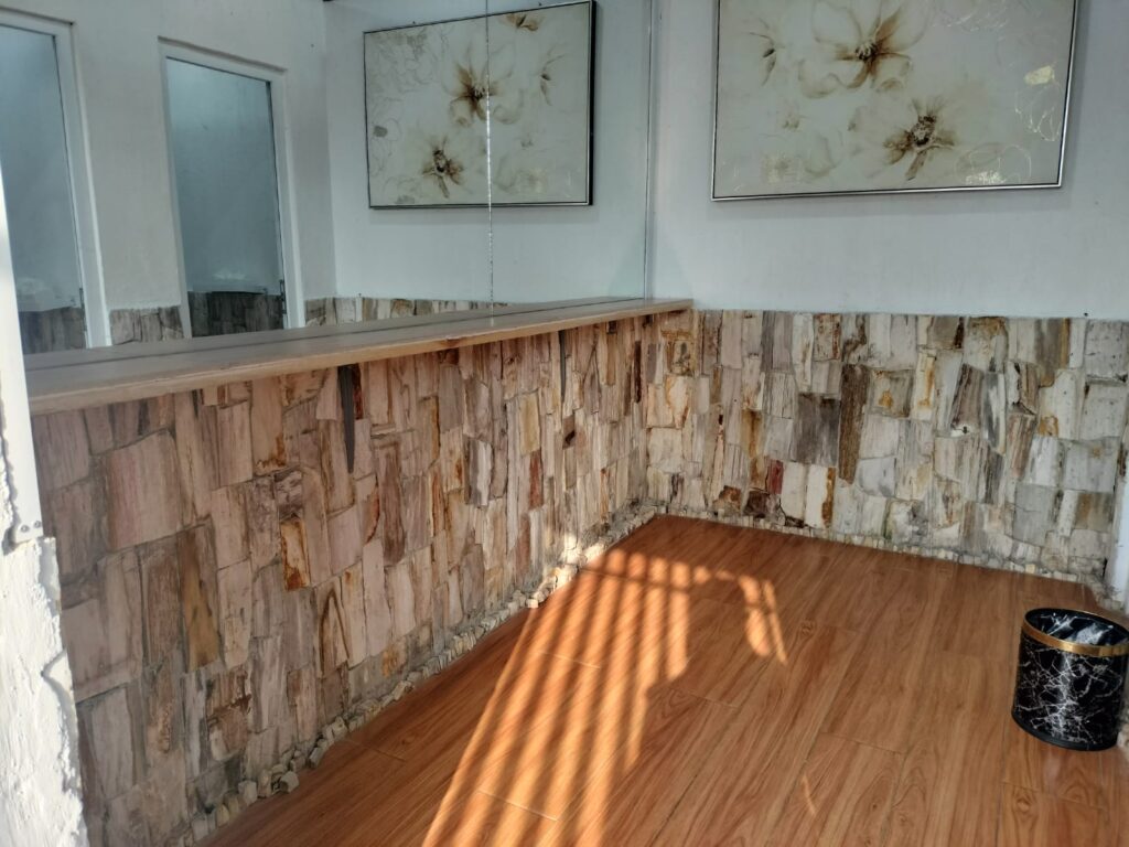 Crafting Spaces with Petrified Wood Tiles