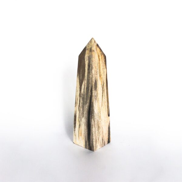 Petrified Wood Obelisk Decorative 1