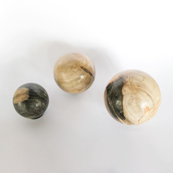 Petrified Wood Ball Decorative 2