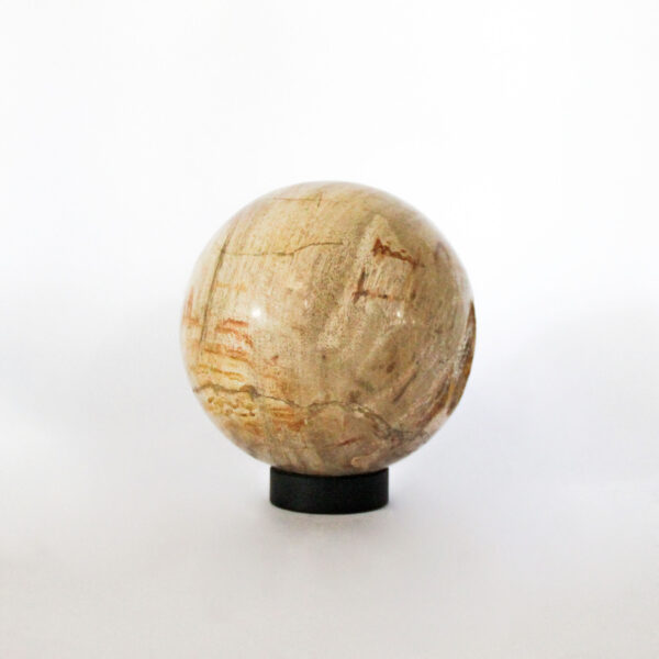 Petrified Wood Ball Decorative 1