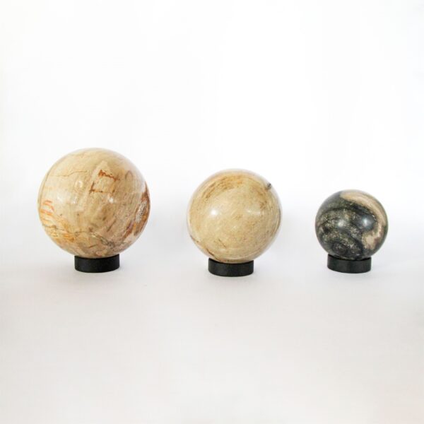 Petrified Wood Ball Decorative 5