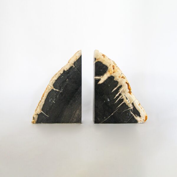 Petrified Wood Bookend Decorative 1