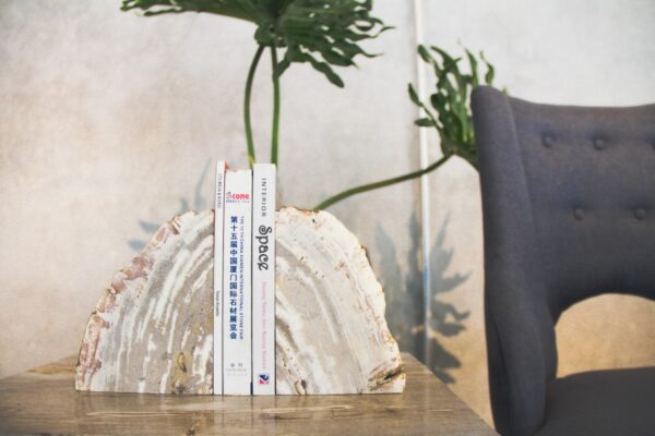 Petrified Wood Bookend Decorative 4