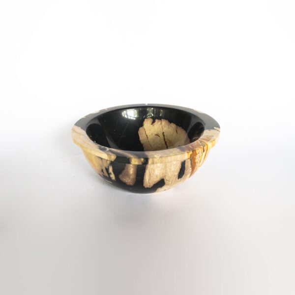 Petrified Wood Candy Bowl 1