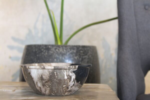 Petrified Wood Candy Bowl 3