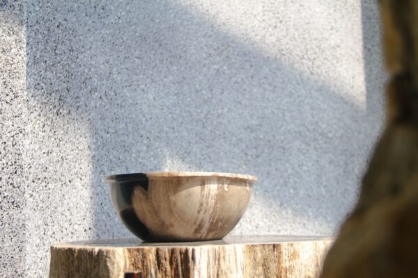 Petrified Wood Candy Bowl 4