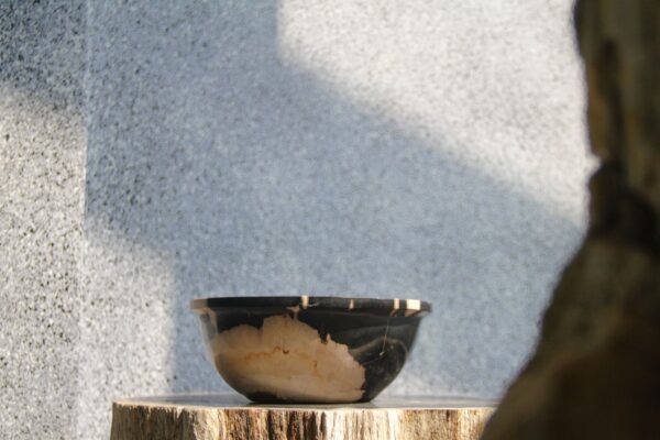 Petrified Wood Candy Bowl 5