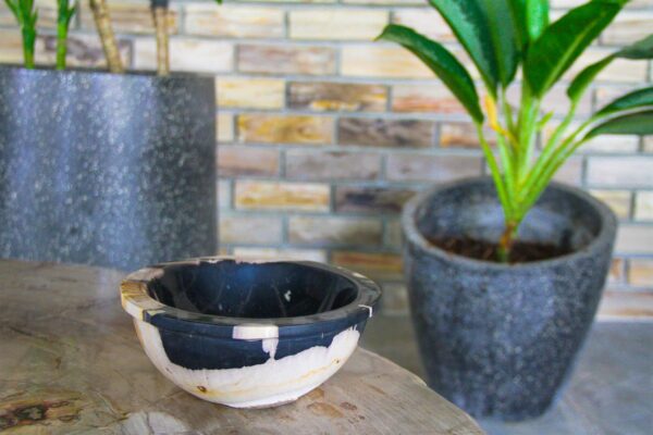 Petrified Wood Candy Bowl 6