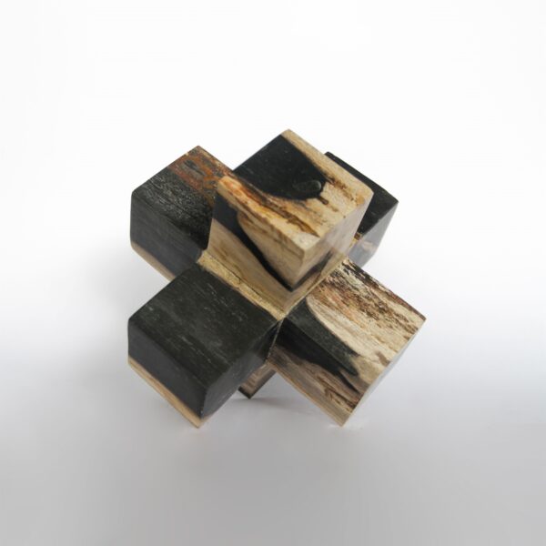 Petrified Wood Cross Dice Decorative 1