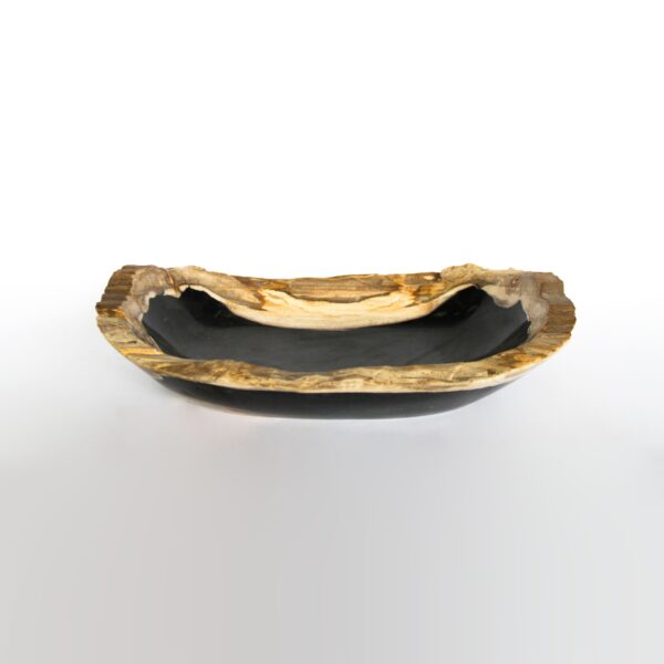 Petrified Wood Natural Lips Bowl 2