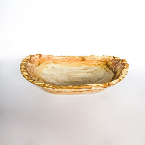 Petrified Wood Natural Lips Bowl 1