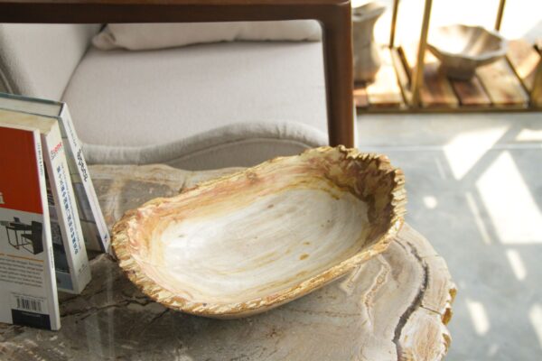 Petrified Wood Natural Lips Bowl 6